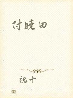 付晓田封面