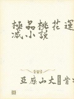 极品桃花运未删减小说
