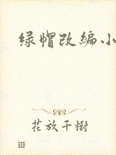 绿帽改编小说