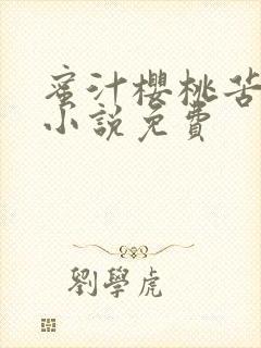 蜜汁樱桃苦咖啡小说免费