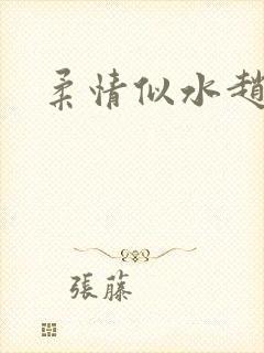 柔情似水赵雅儿