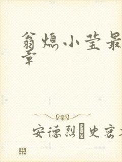 翁熄小莹最新节章封面