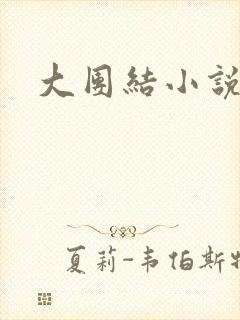 大团结小说阅读