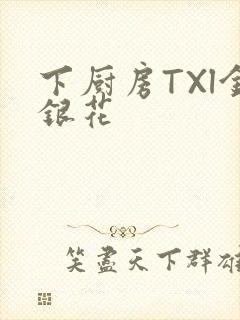 下厨房TXl金银花