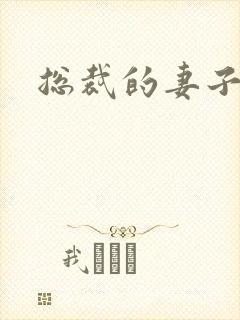 总裁的妻子封面