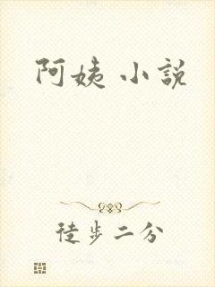 阿姨 小说