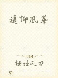遥仰凰华
