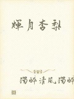 辉月杏梨