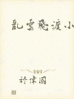 乱云飞渡小说