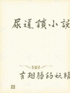 尿道锁小说封面