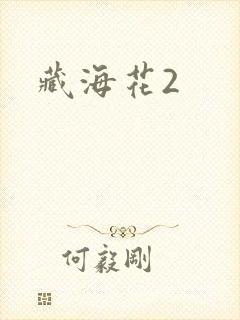 藏海花2