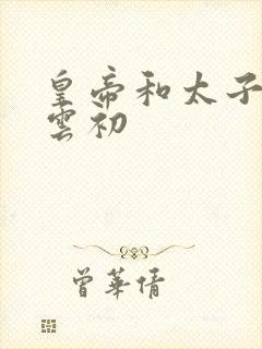 皇帝和太子妃h云初封面
