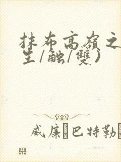 抹布高岭之花(生/触/双)封面