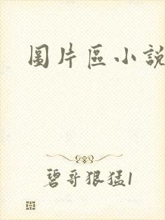 图片区小说区