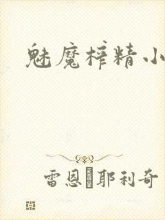 魅魔榨精小说