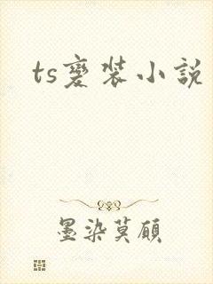 ts变装小说