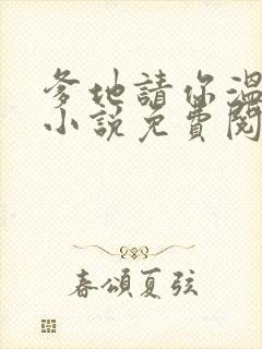 爹地请你温柔点小说免费阅读