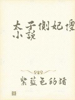 太子侧妃傻乎乎小说