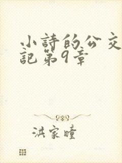 小诗的公交车日记第9章封面