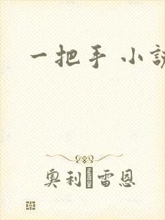 一把手 小说