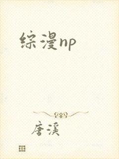 综漫np