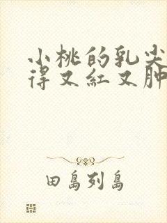 小桃的乳尖被吸得又红又肿