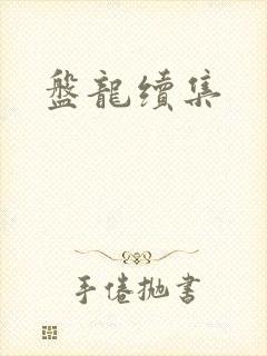 盘龙续集封面