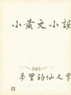 小黄文小说封面
