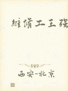 维修工王强张婷封面