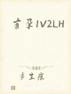 有孕1V2LH