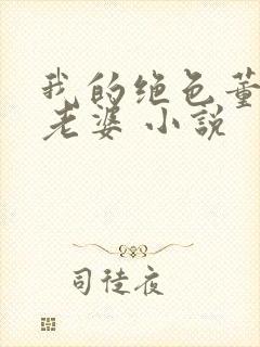 我的绝色董事长老婆 小说