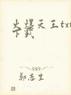 火爆天王txt下载