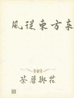 风从东方来封面