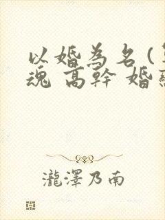 以婚为名 (军魂 高干 婚恋)封面