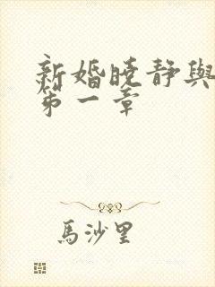新婚晓静与翁公笫一章封面