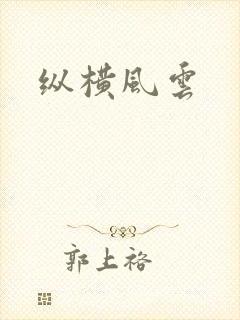 纵横风云封面