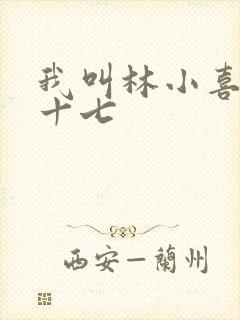 我叫林小喜今年十七封面