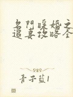 名门暖婚之权爷追妻攻略全文免费阅读