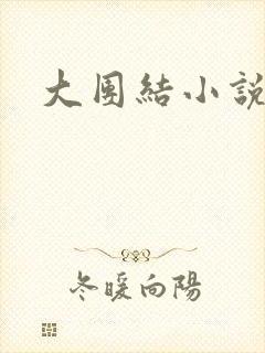 大团结小说阅读