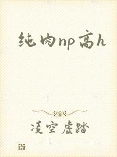 纯肉np高h