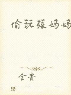 偷玩张妈妈