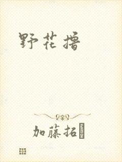 野花撸封面