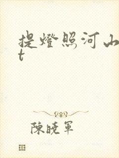 提灯照河山txt