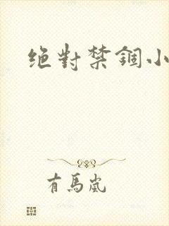 绝对禁锢小说