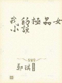 我的极品女老师小说