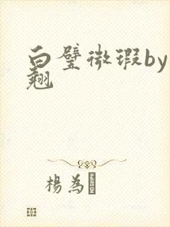 白璧微瑕by连翘