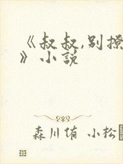 《叔叔,别撩我》小说