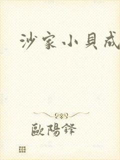 书籍封面