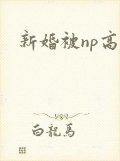 新婚被np高h