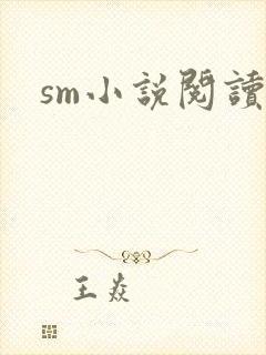 sm小说阅读
